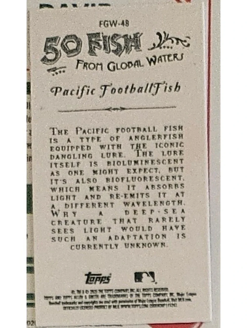 Pacific Footballfish #FGW-48 2025 Topps Allen & Ginter 50 Fish From Global Water - Picture 2 of 2